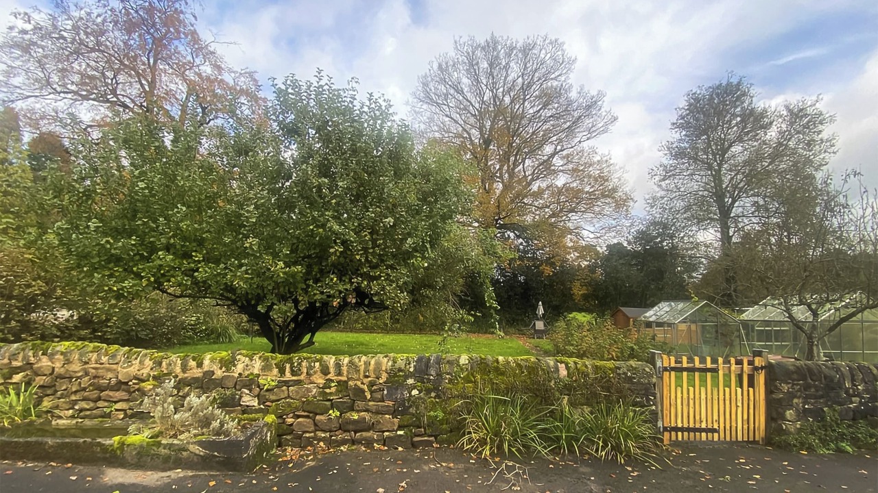 Photo of Outdoor in Middle Mayfield