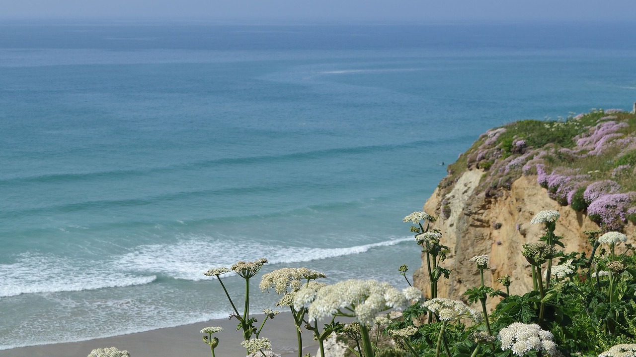 Photo of Others in Winnard's Perch