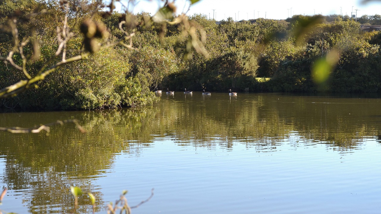 Photo of Outdoor in Winnard's Perch