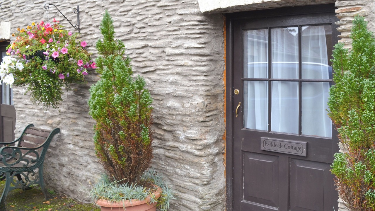 Photo of Others in North Buckland