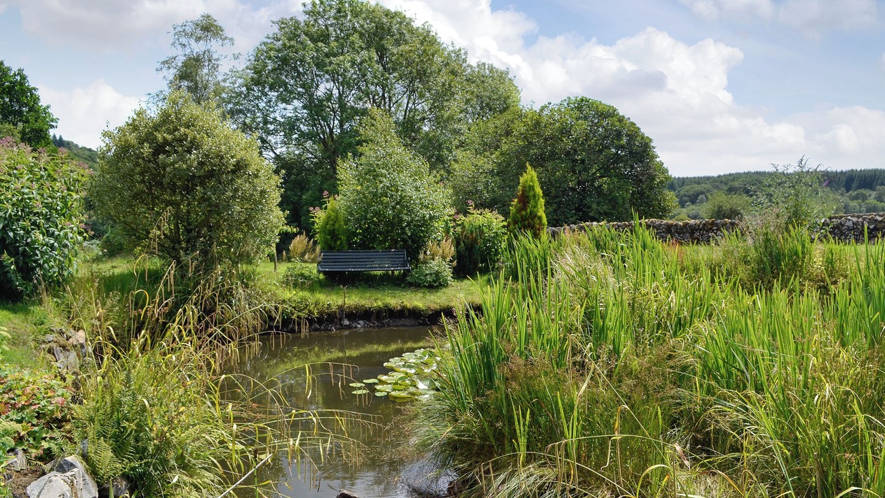 Photo of Outdoor in Newton Stewart