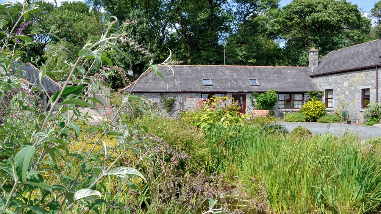 Photo of Others in Newton Stewart