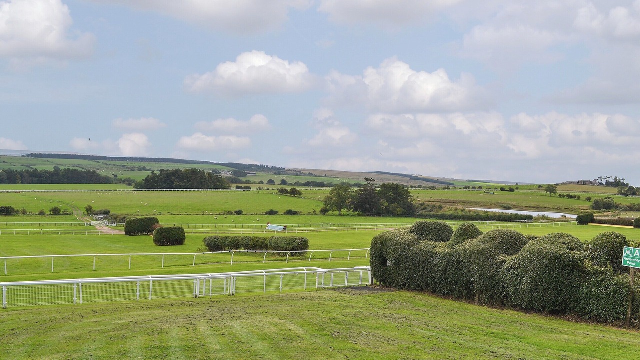 Photo of Others in Hexham