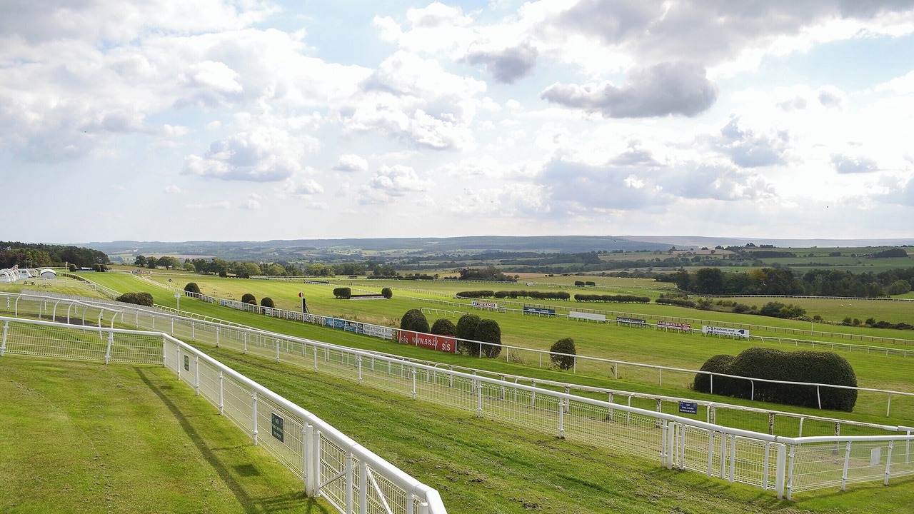 Photo of Others in Hexham