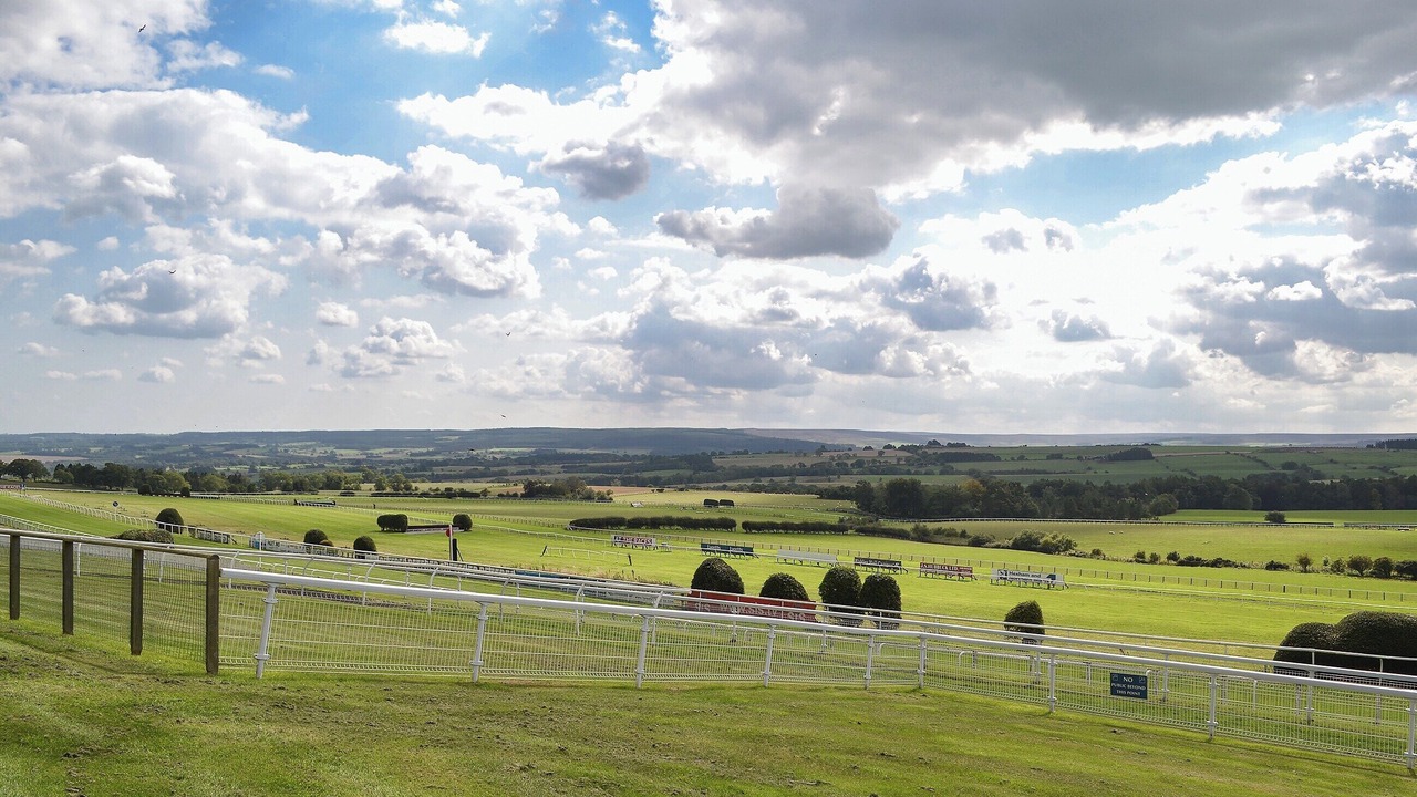 Photo of Others in Hexham