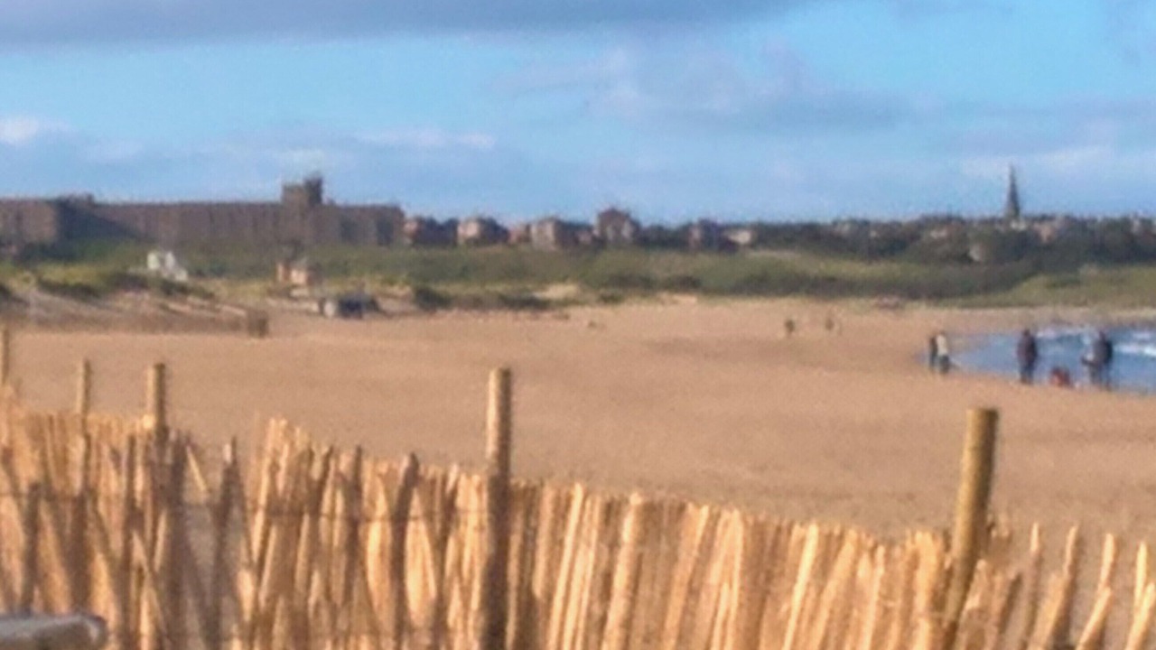 Photo of Others in Westoe