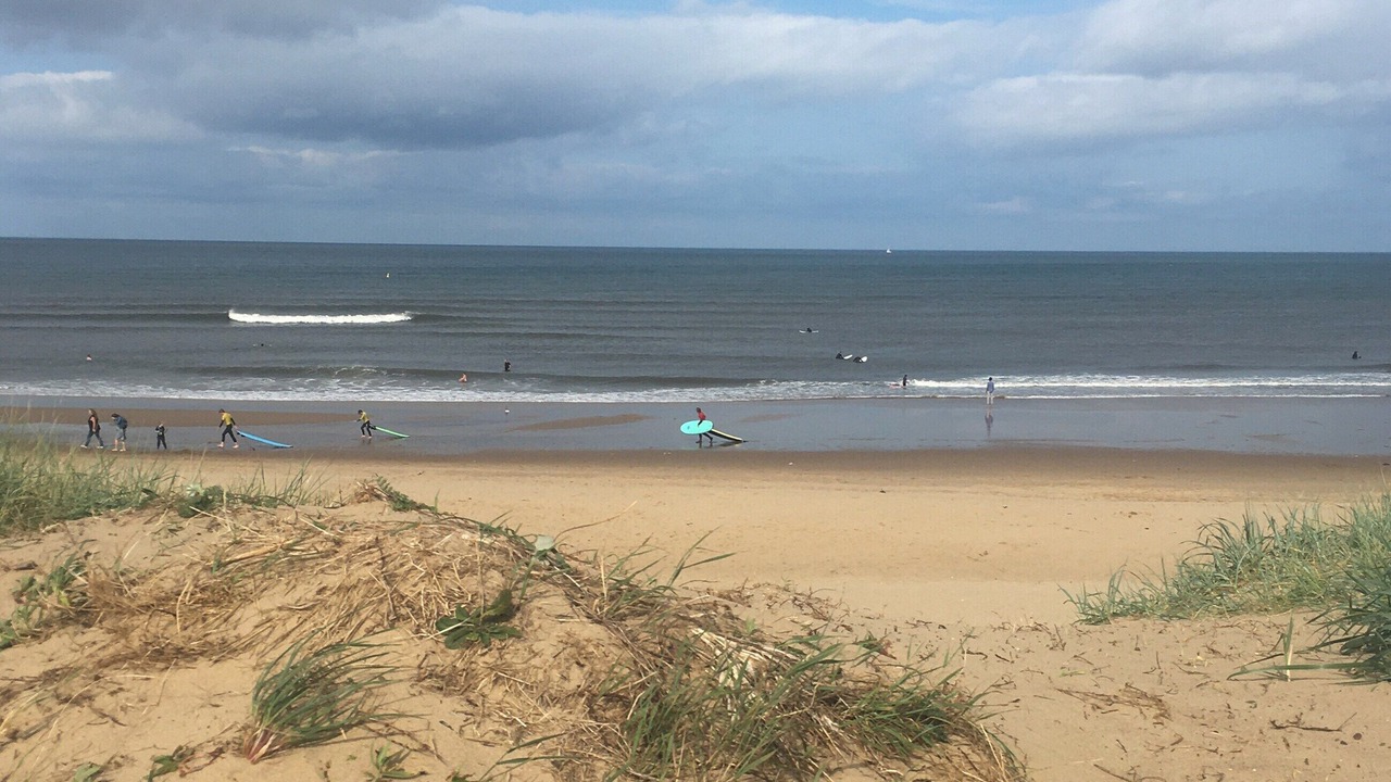 Photo of Others in Westoe