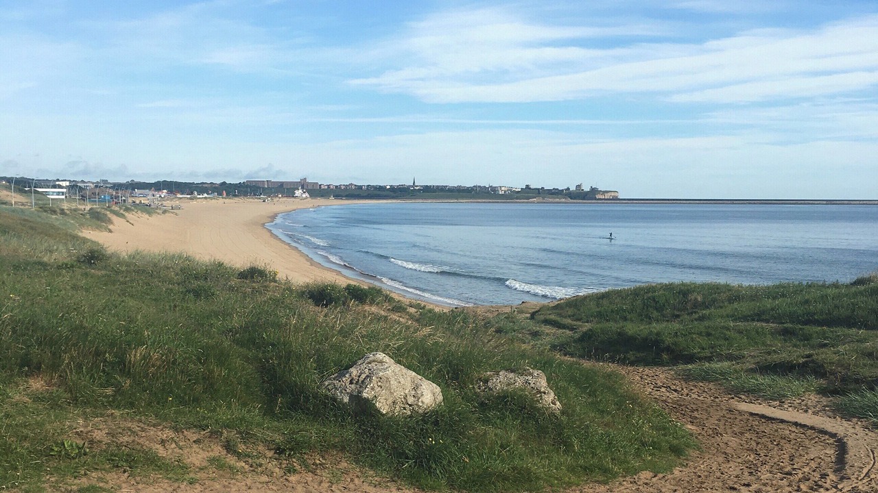 Photo of Others in Westoe