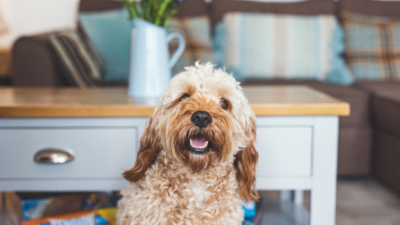 Photo of Others in Stoke Fleming