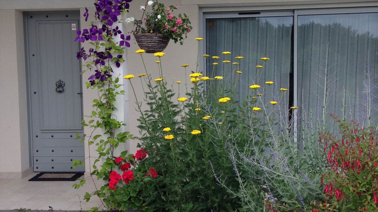 Photo of Outdoor in Talmont-Saint-Hilaire