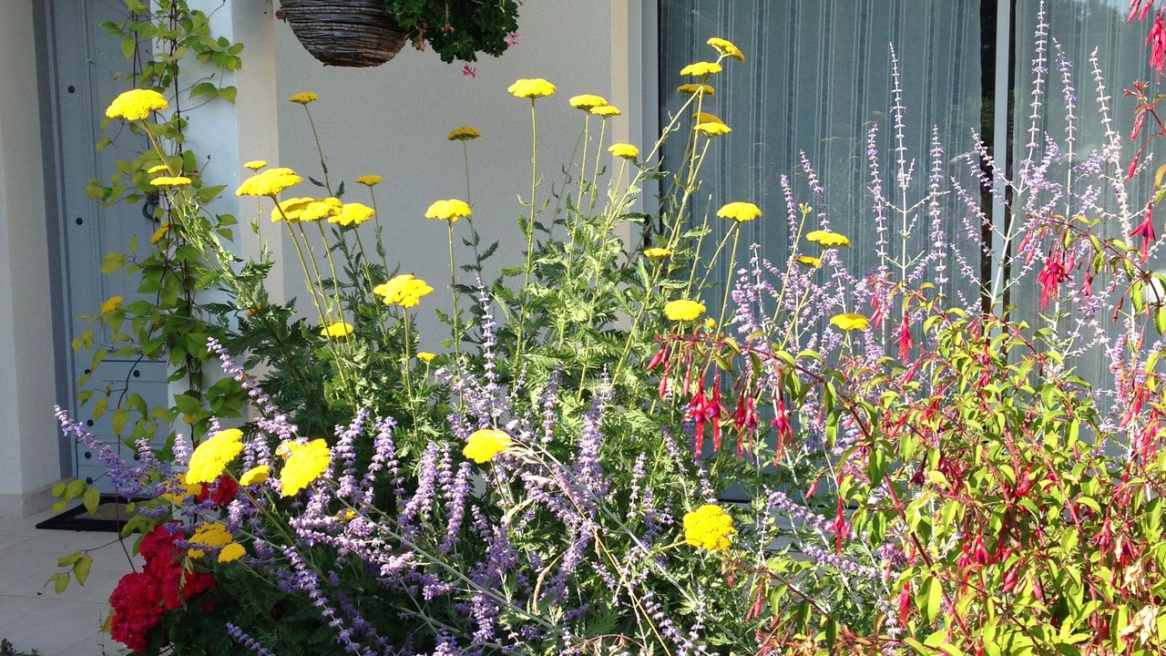 Photo of Outdoor in Talmont-Saint-Hilaire