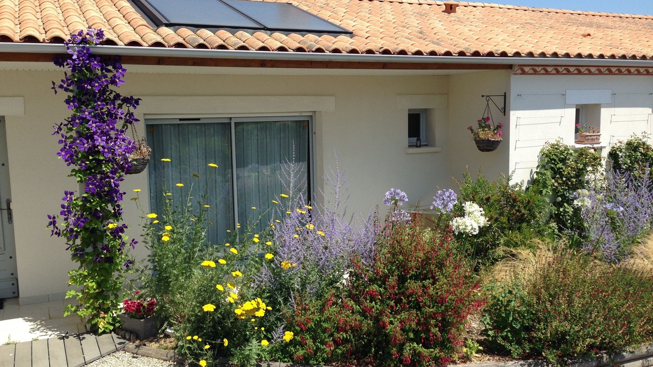 Photo of Outdoor in Talmont-Saint-Hilaire