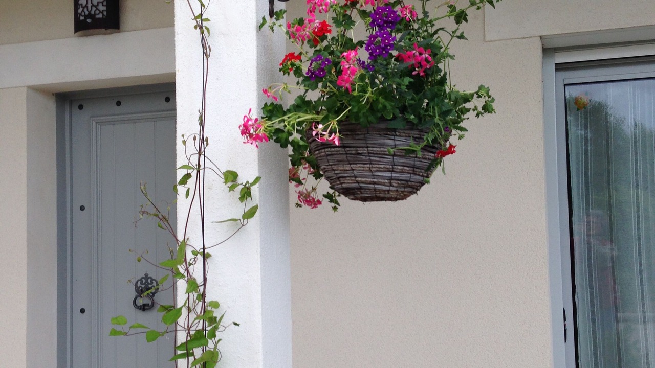 Photo of Outdoor in Talmont-Saint-Hilaire