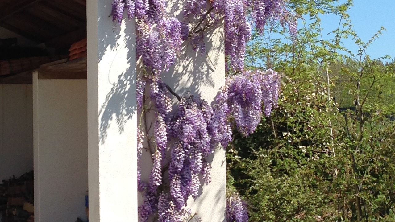 Photo of Outdoor in Talmont-Saint-Hilaire