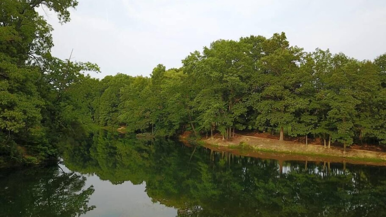 Photo of Outdoor in Helmsburg