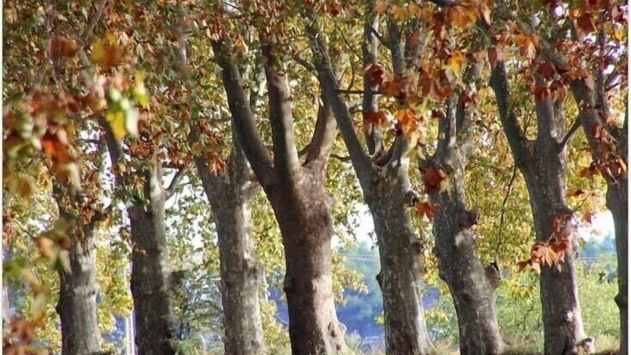 Photo of Outdoor in Beziers
