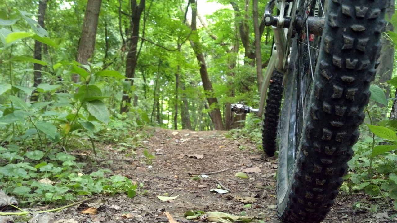 Photo of Outdoor in Normal