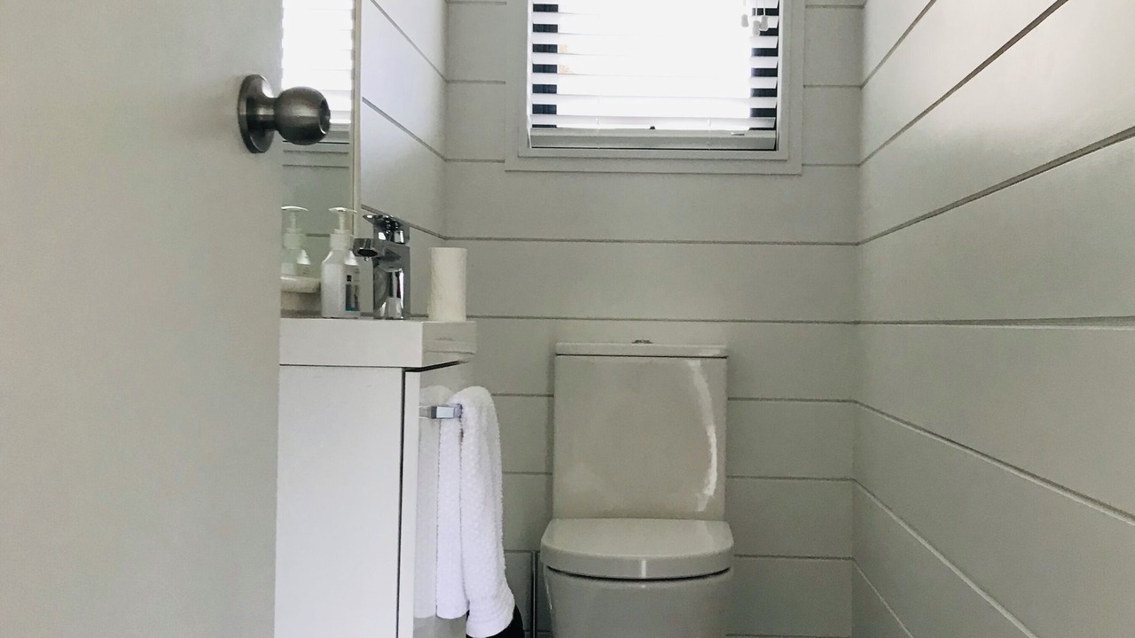 Photo of Others in Coromandel