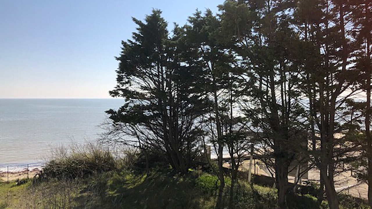 Photo of Others in La Gueriniere