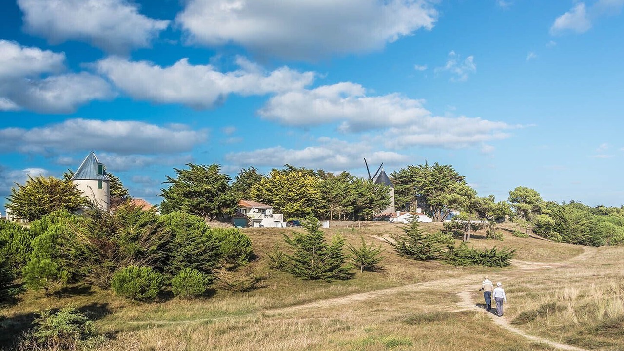 Photo of Others in La Gueriniere