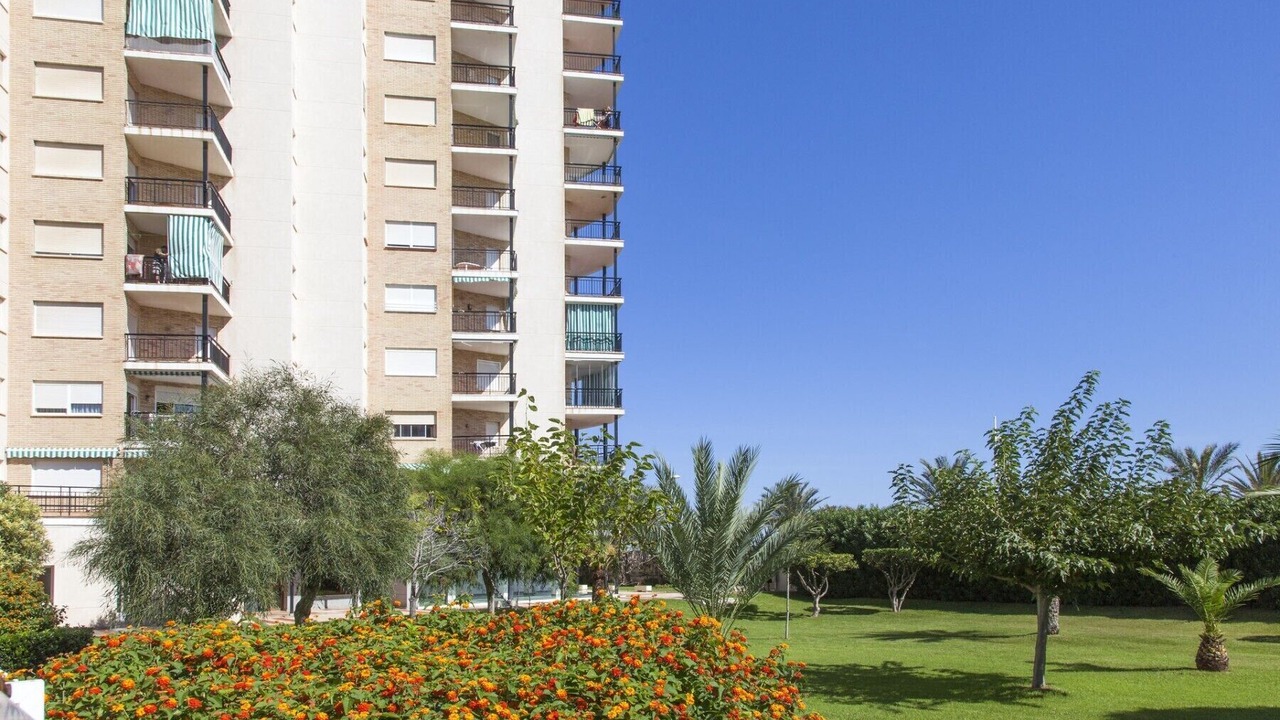 Photo of Outdoor in Playa de Gandia