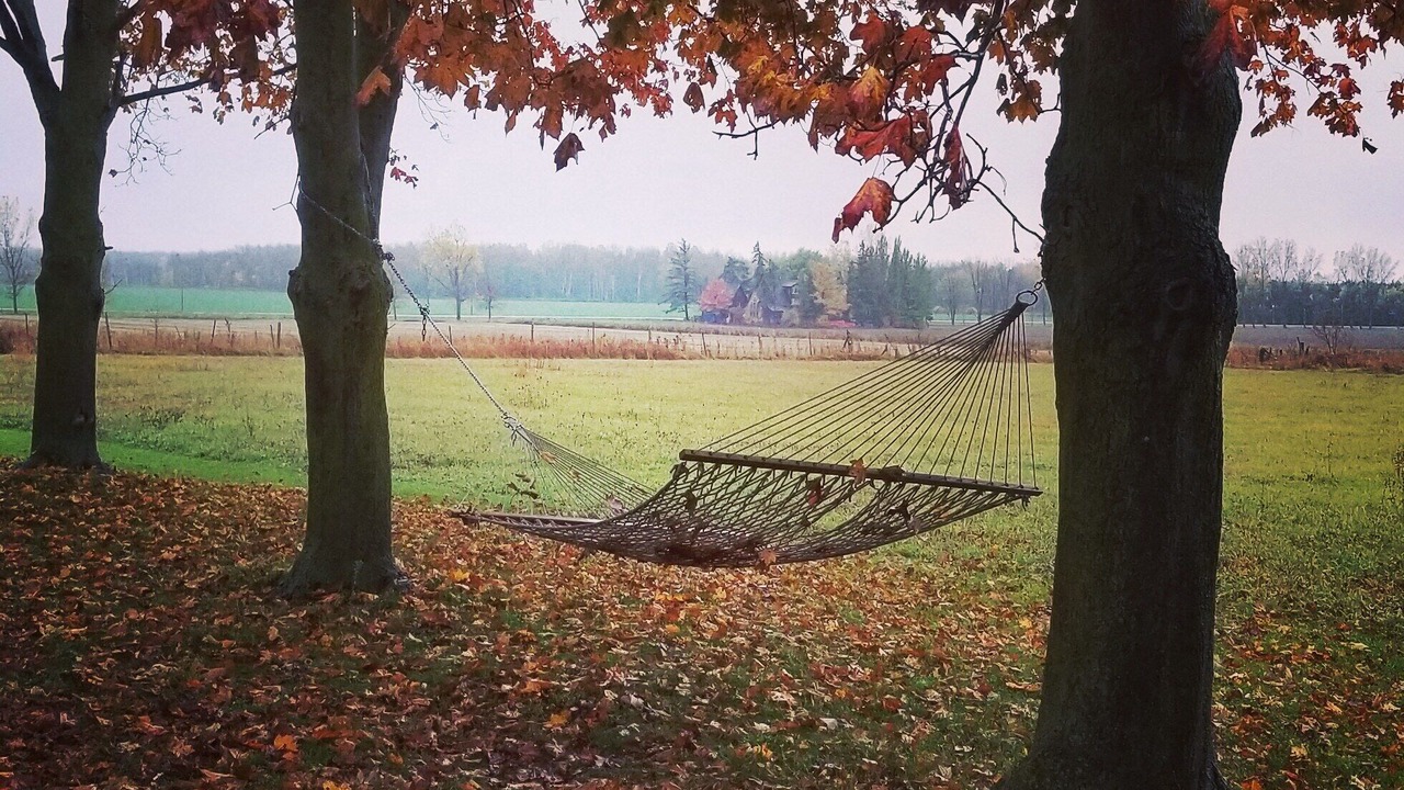 Photo of Outdoor in Clearview Township