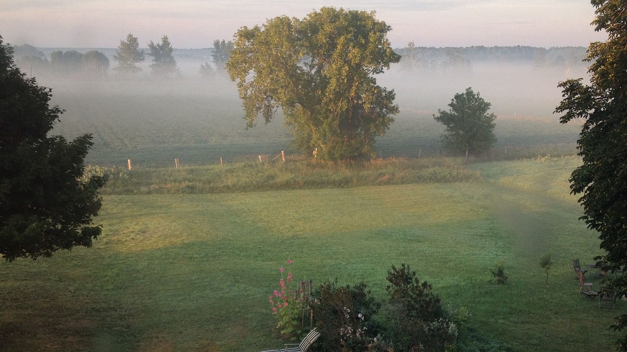 Photo of Outdoor in Clearview Township