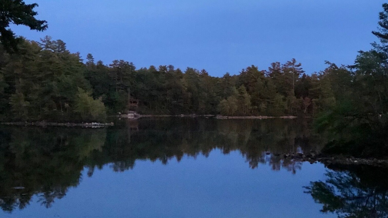 Photo of Others in Ossipee