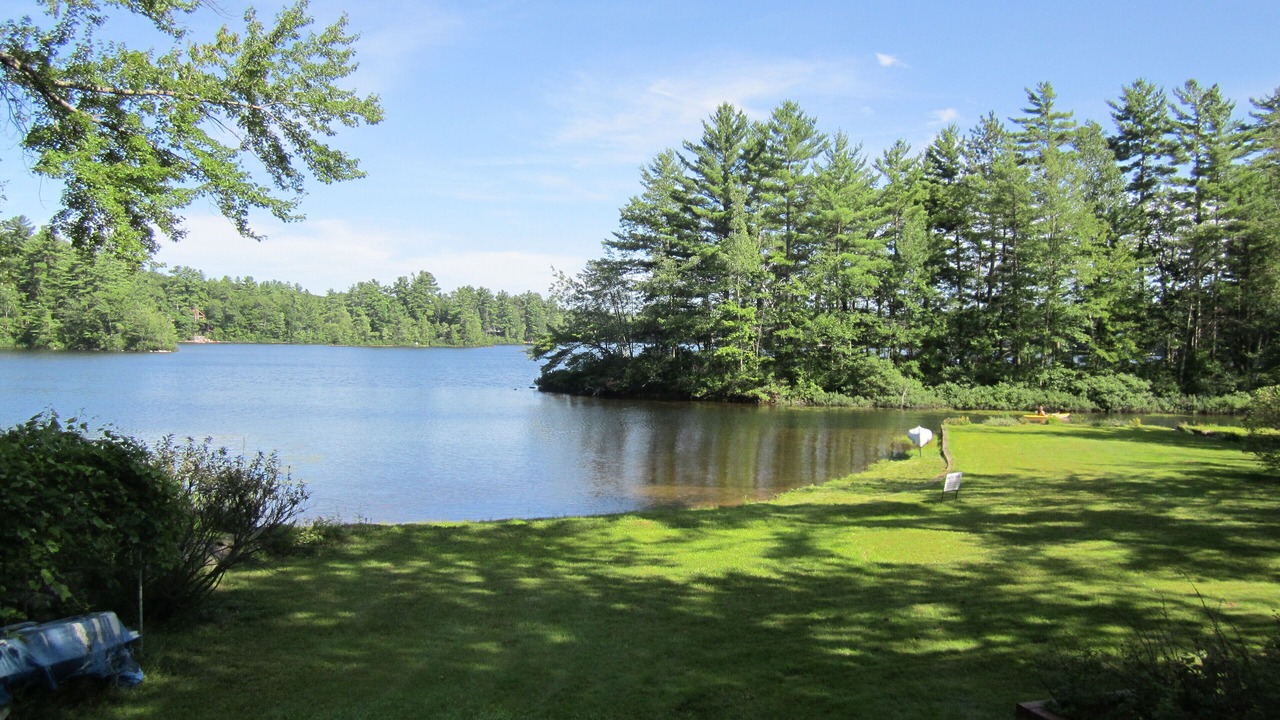 Photo of Others in Ossipee