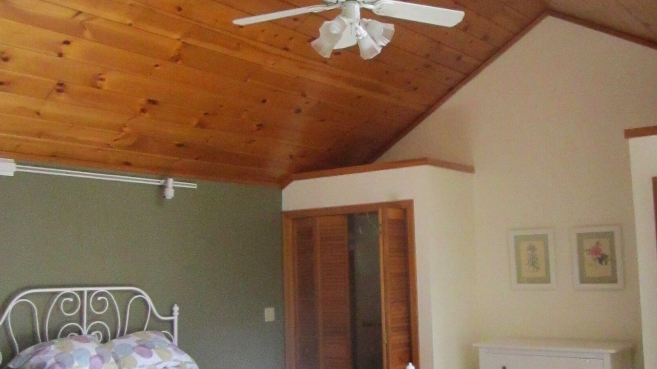 Photo of Others in Ossipee