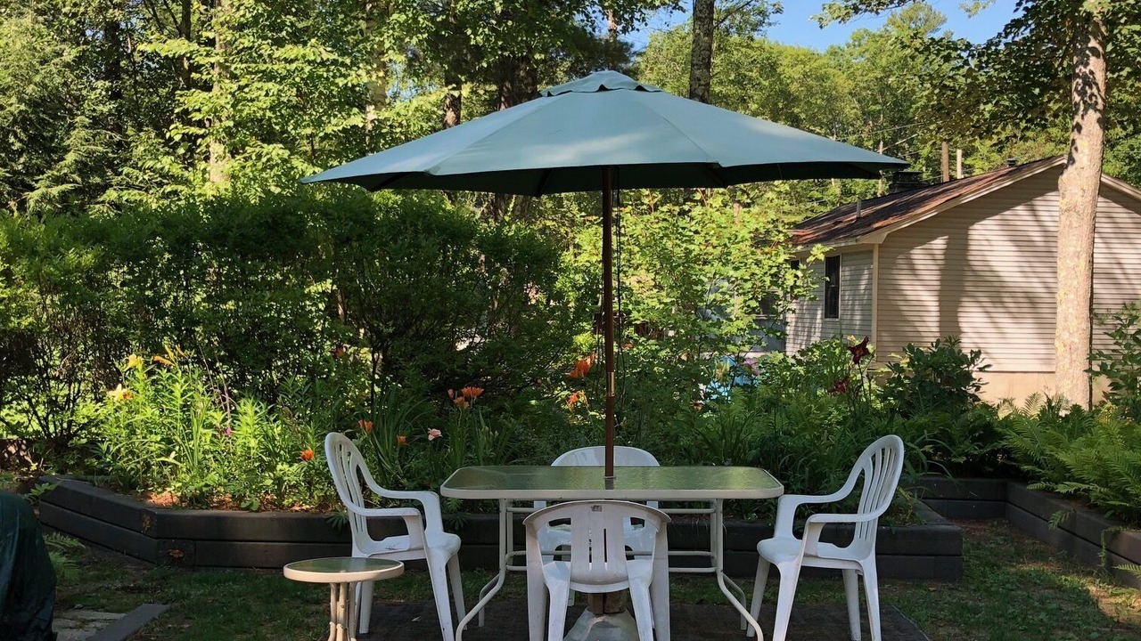 Photo of Others in Ossipee