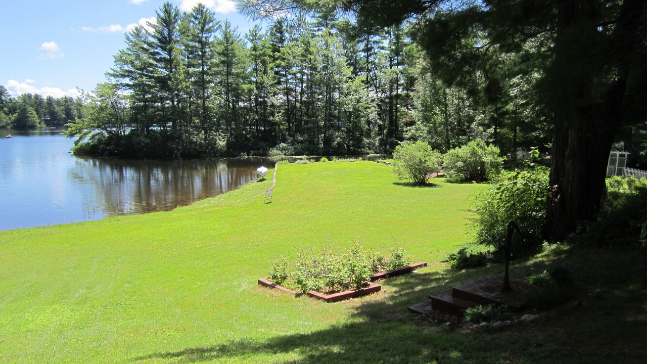 Photo of Outdoor in Ossipee