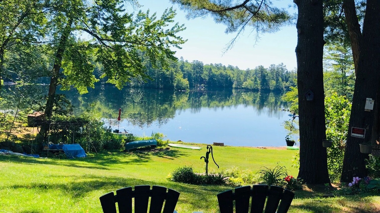 Photo of Outdoor in Ossipee