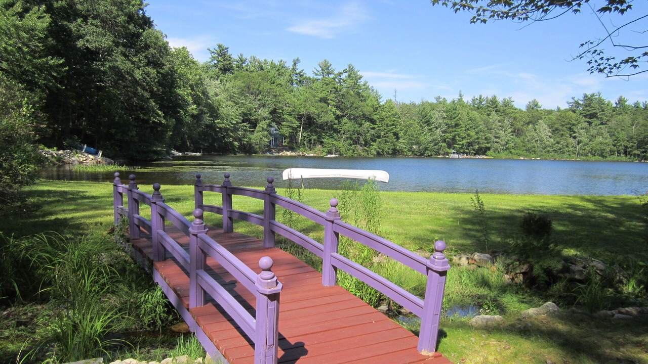 Photo of Others in Ossipee