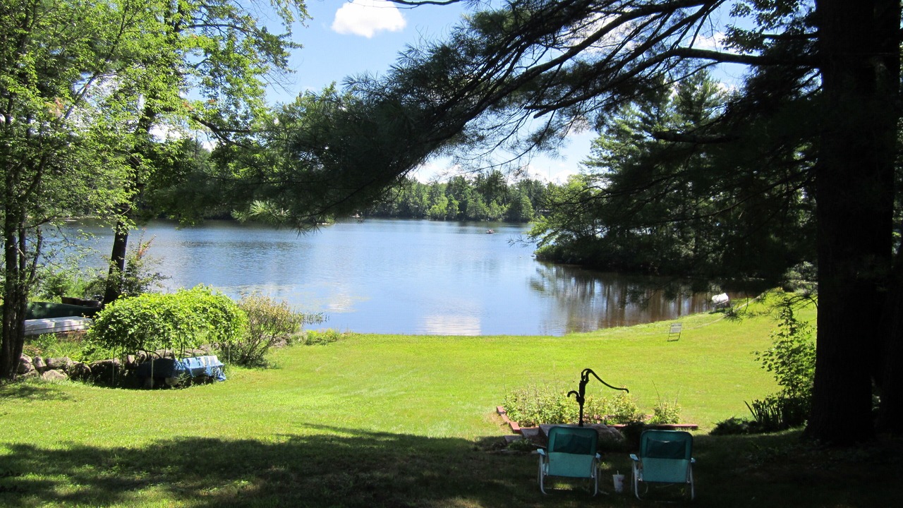 Photo of Others in Ossipee