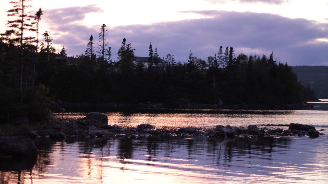 Photo of Others in Tors Cove
