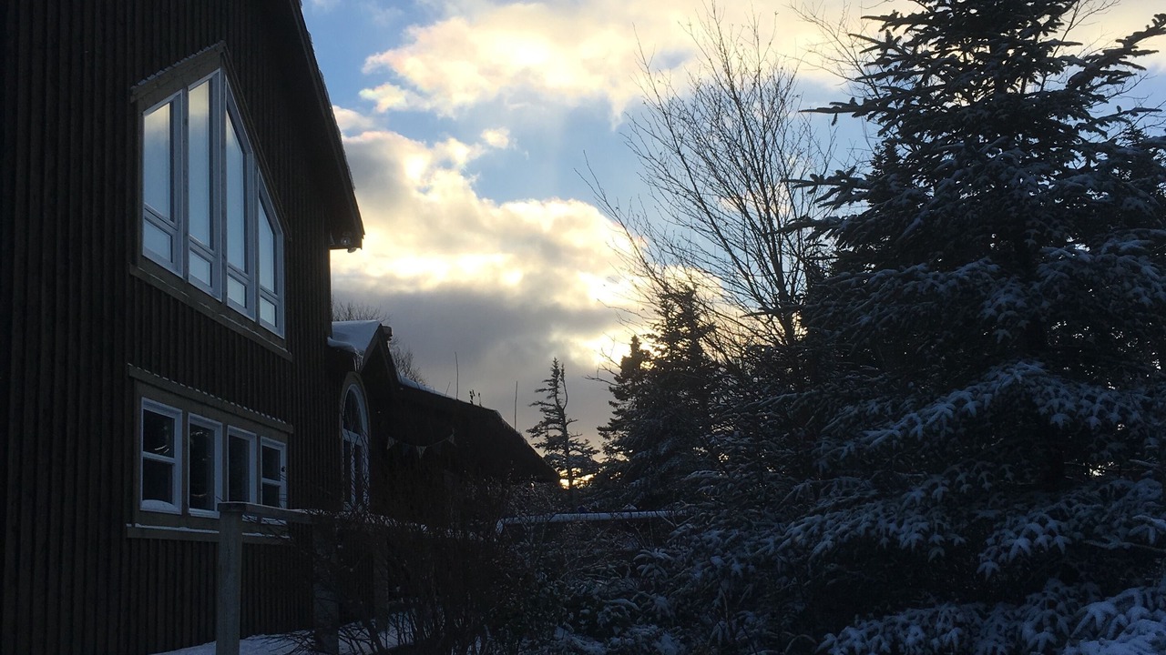 Photo of Others in Tors Cove