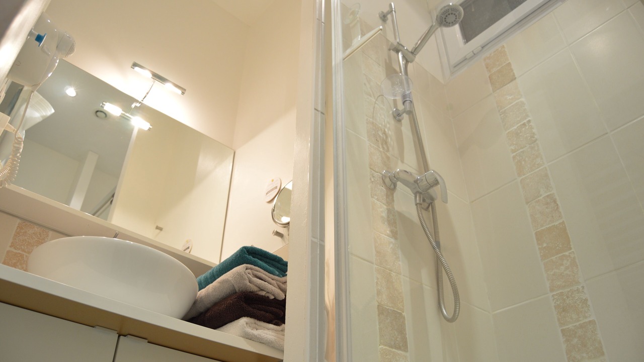 Photo of Bathroom in Tours