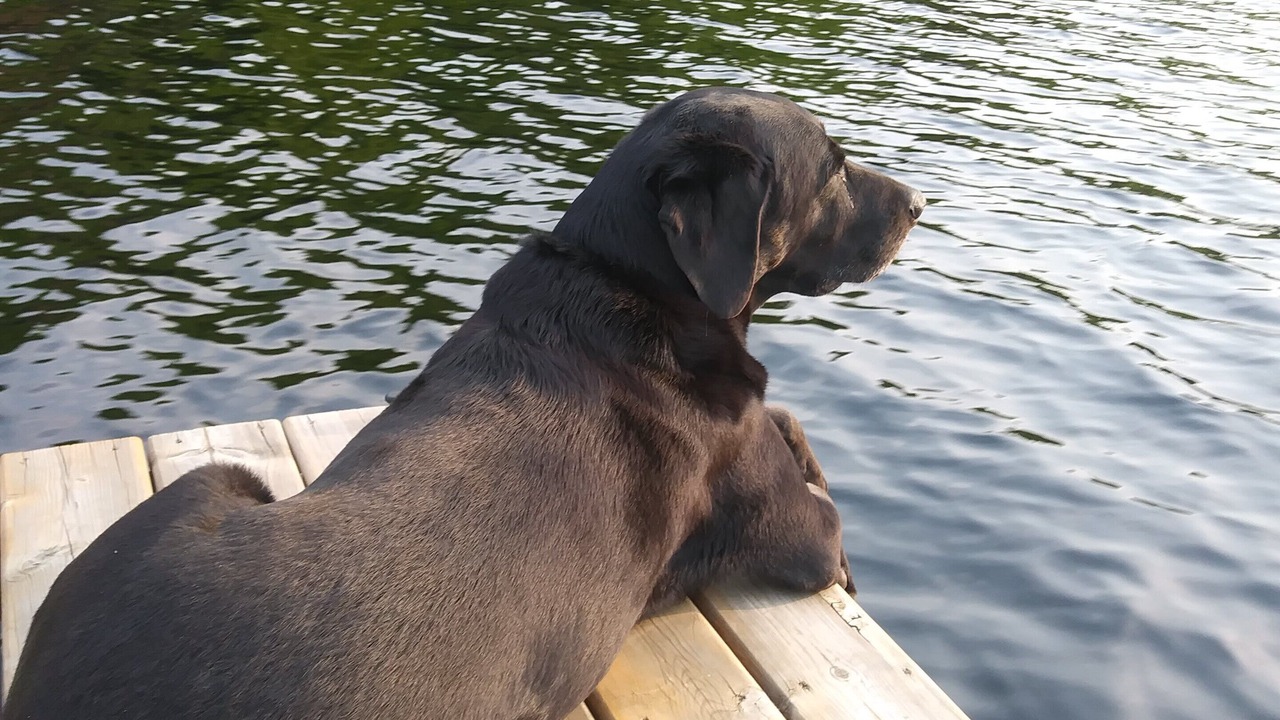 Photo of Others in Rideau Lakes