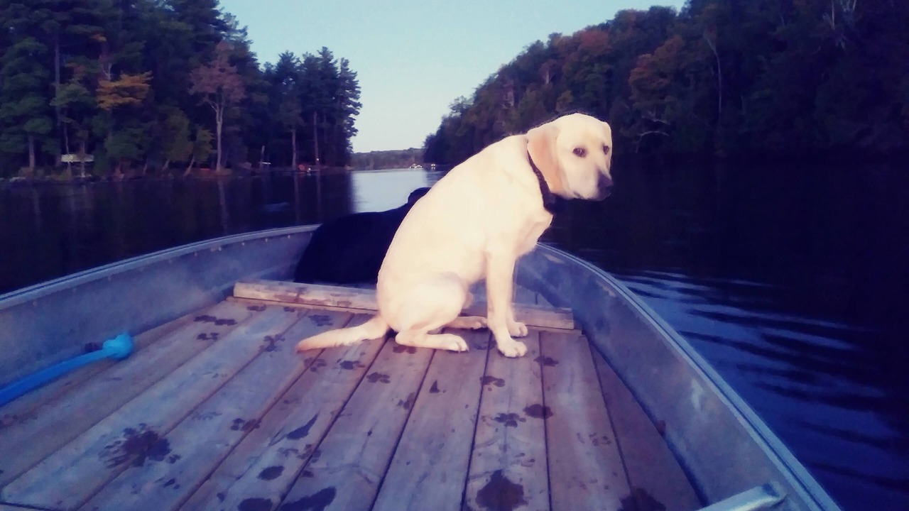 Photo of Outdoor in Rideau Lakes