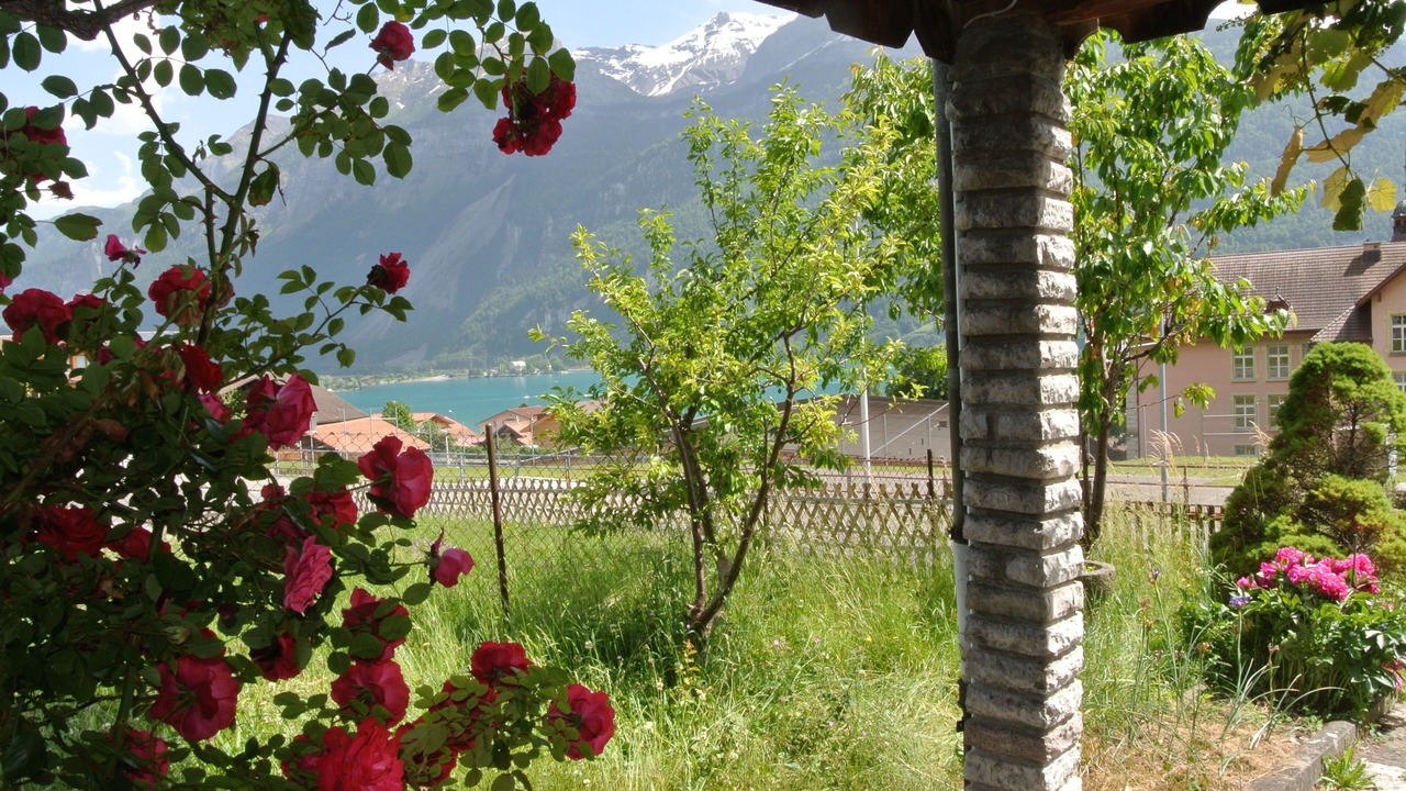 Photo of Bedroom in Brienz