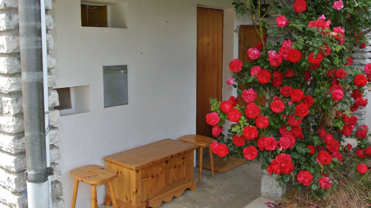 Photo of Bedroom in Brienz
