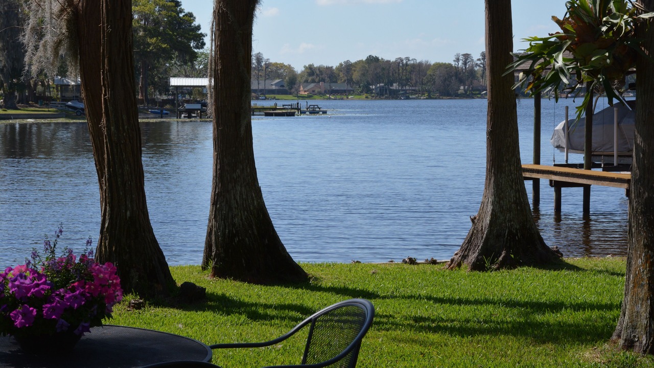 Photo of Outdoor in Lutz