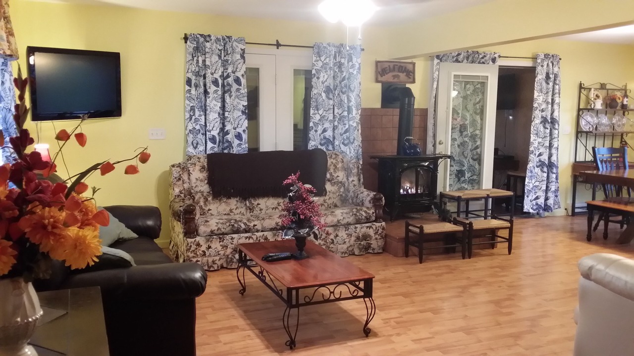 Photo of Livingroom in North Lake George