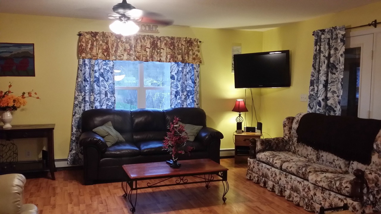 Photo of Livingroom in North Lake George
