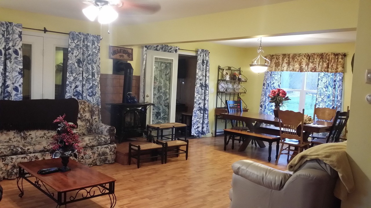Photo of Livingroom in North Lake George