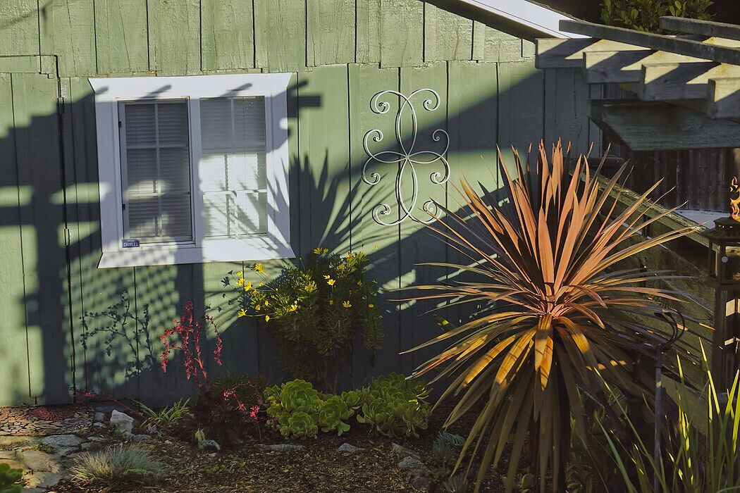 Photo of Outdoor in Monterey