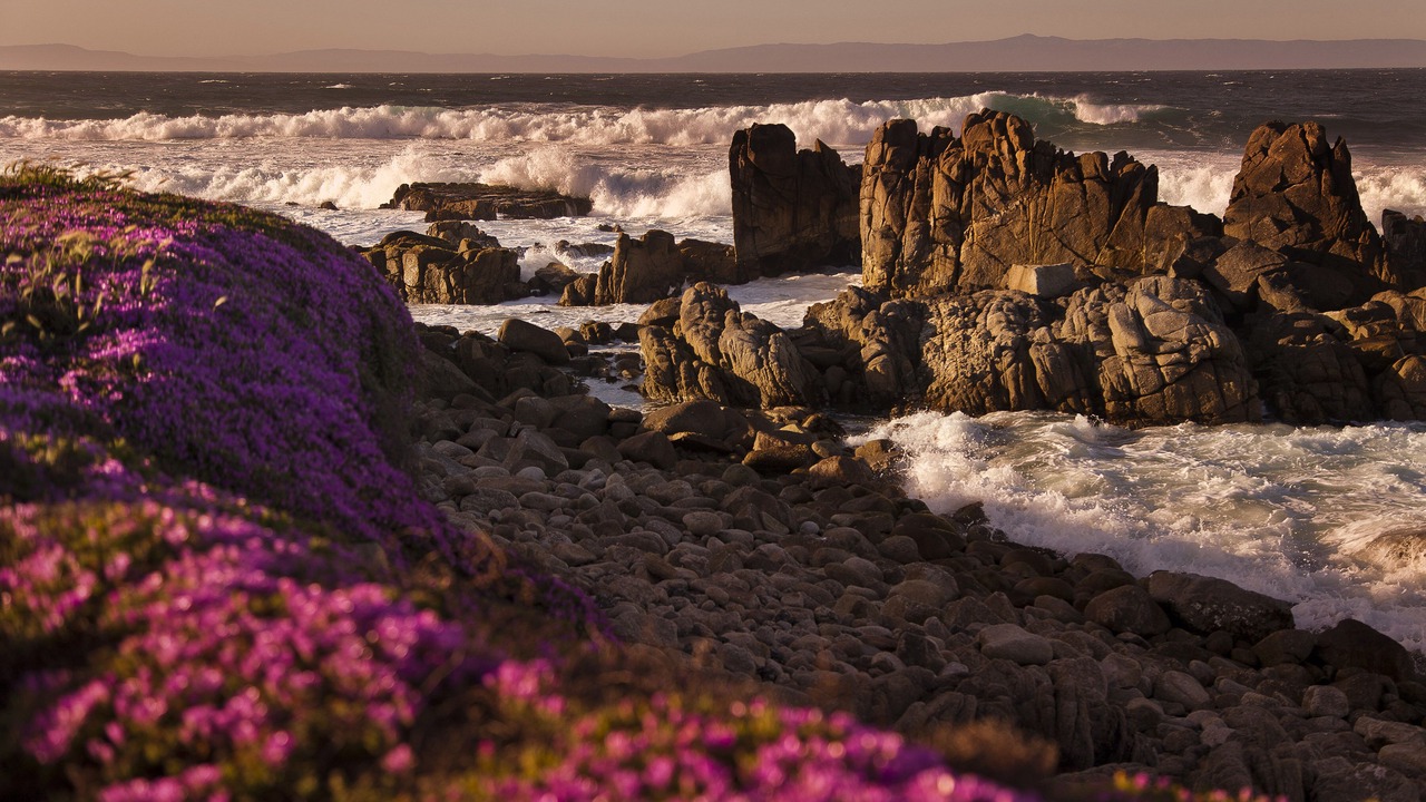 Photo of Outdoor in Monterey