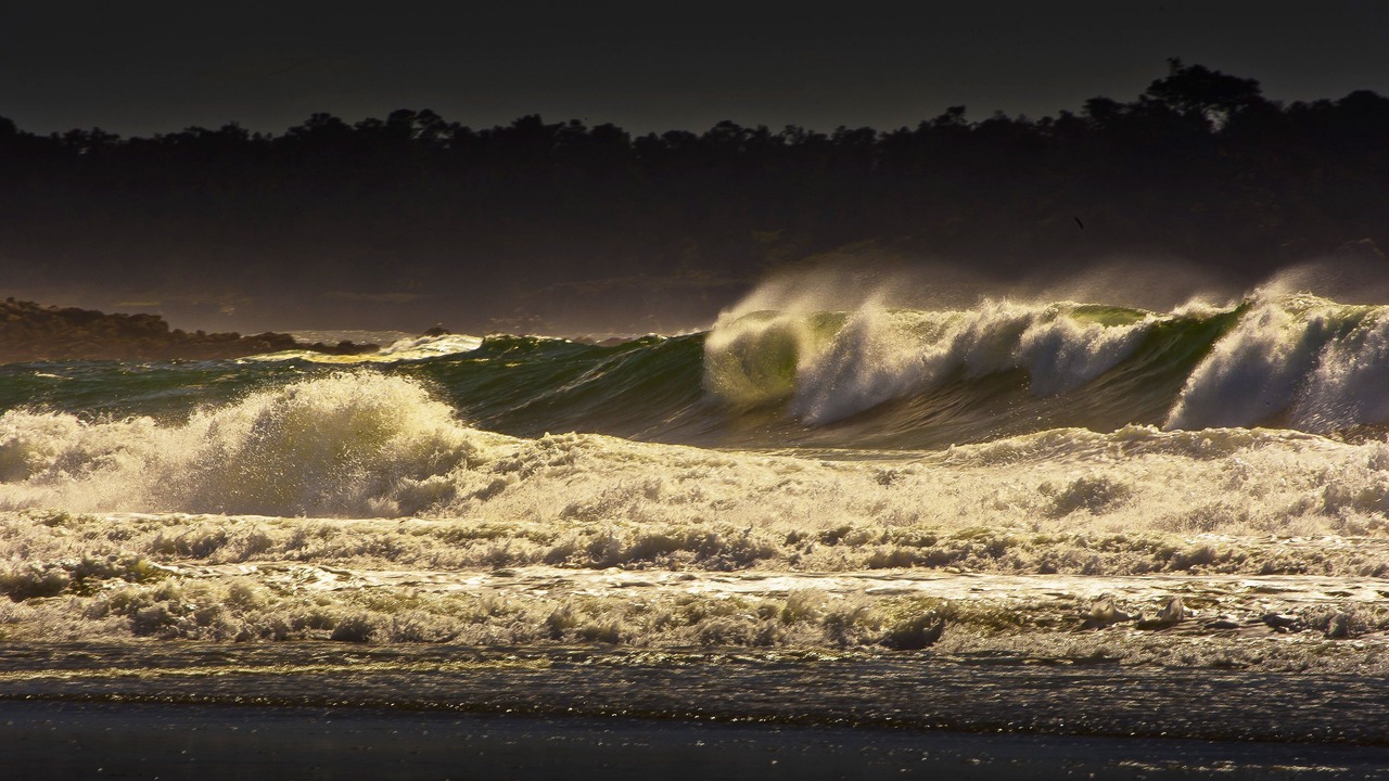 Photo of Others in Monterey
