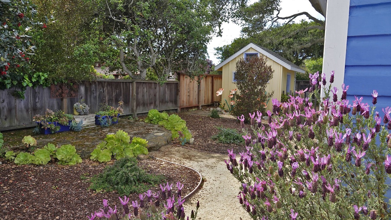 Photo of Others in Monterey